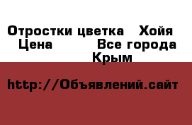 Отростки цветка  “Хойя“ › Цена ­ 300 - Все города  »    . Крым